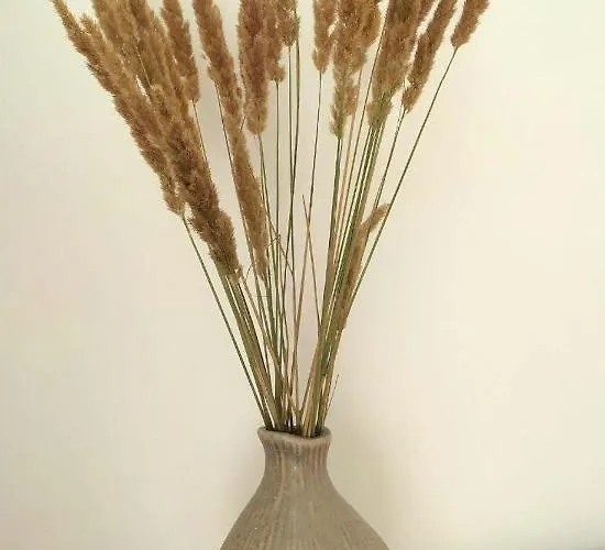 Belle Art Ξενοδοχείο *